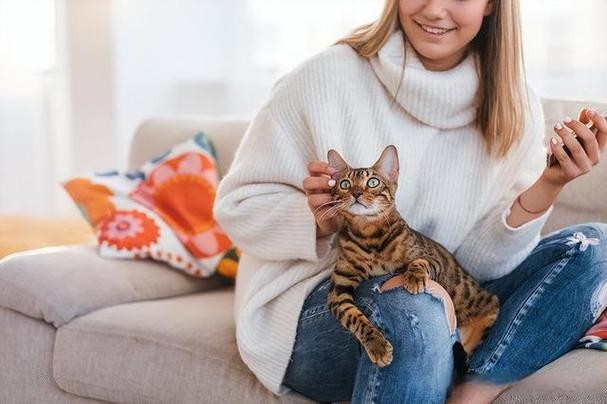 猫咪有以下表现说明它是来报恩的宠主就偷着乐吧