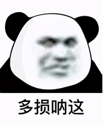 坏心猫咪图鉴，笋都被这些猫夺完了