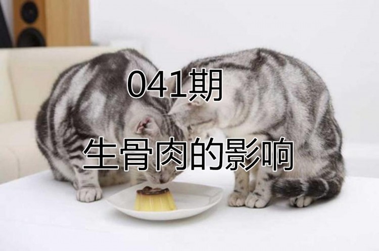 辟谣给猫狗吃生骨肉并不会增加攻击性,生肉正确清洁后利于健康