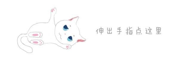 奶牛猫竟横着站在墙上，哈士奇看到后，也学起了猫咪的高难度动作